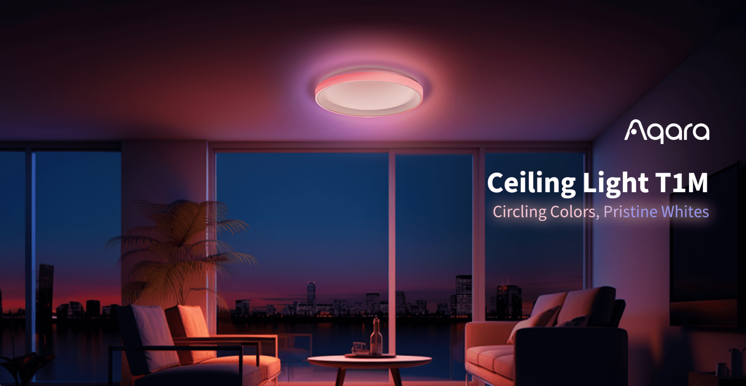 Ceiling Light T1M