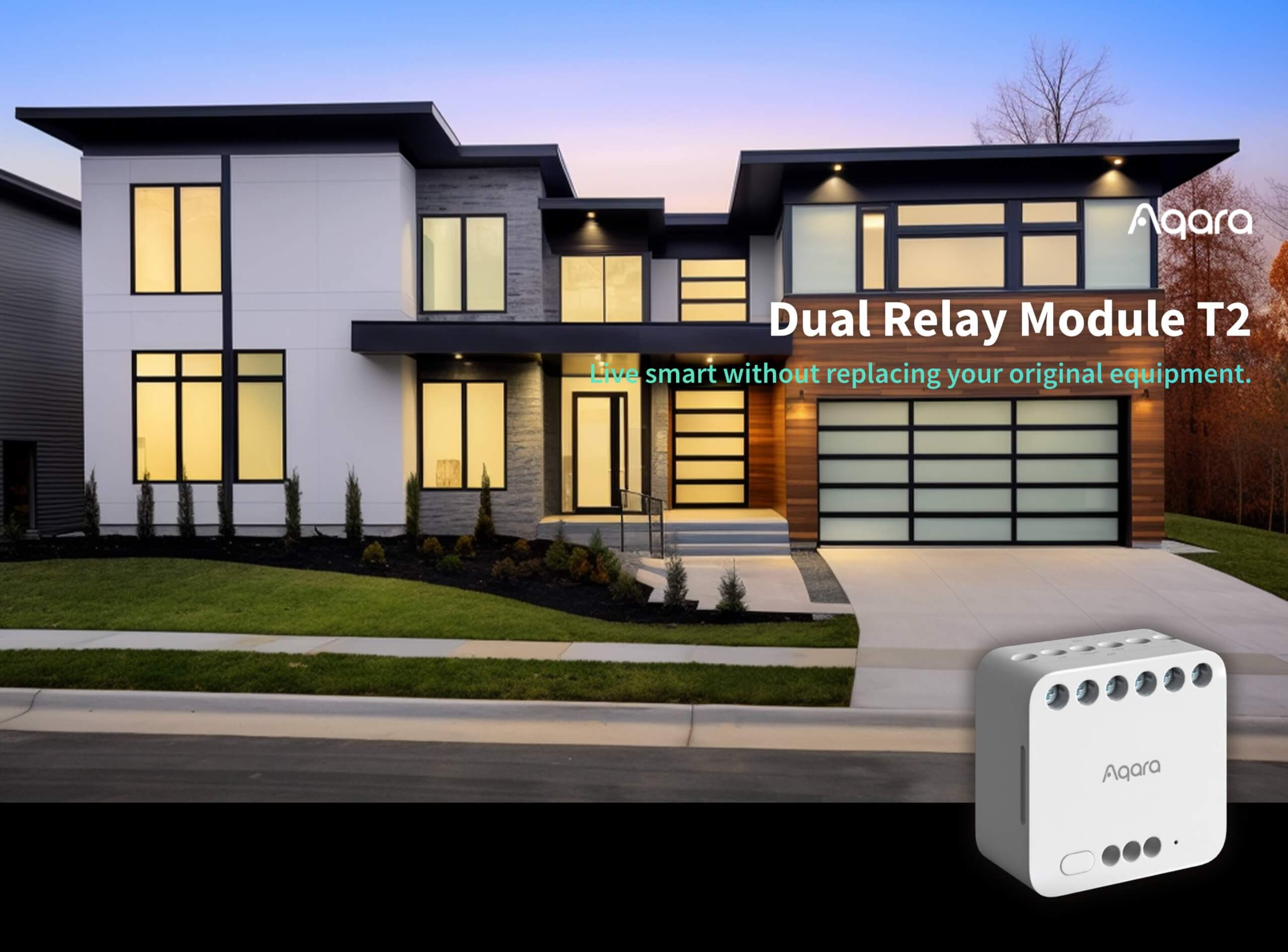 Dual Relay Module T2