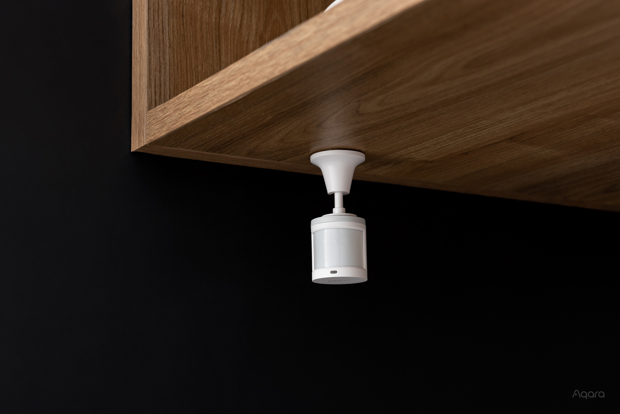 Motion Sensor P1